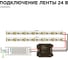 Общее освещение светодиодной лентой Apeyron 5м, 24В, 14Вт/м, COB, 512д/м, IP20, зел. / 218ОО 15