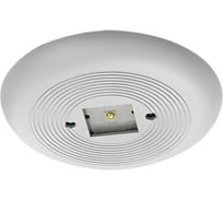 Светильник АСТЗ ДВО92-2x1.5-033 Eye EM3 DT 840 1210421033