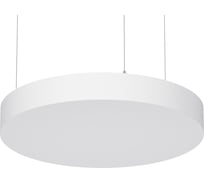 Светильник АСТЗ ДСО33-40-021 Horizon Sun RD 940 1303840021