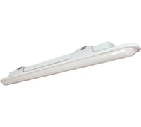 Аварийный светильник АСТЗ ДСП51-30-044 Leader EM1 840 1168430044