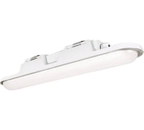 Аварийный светильник АСТЗ ДСП51-20-045 Leader EM1 840 1168420045