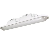 Аварийный светильник АСТЗ ДСП51-20-044 Leader EM1 840 1168420044