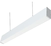 Светильник АСТЗ ДСО18-20 Profil B3H7L100 W 840 EM3 DT 1275402041.43