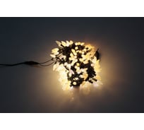 Светодиодная гирлянда FLESI ЯГОДКИ LED-PL-C6-4 -G-220V-20 -WW 00490