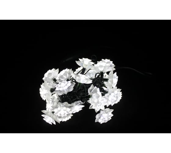Светодиодная гирлянда FLESI ХРИЗАНТЕМЫ LED-PL-S02-30-3M-240V 01088 1