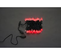 Светодиодная гирлянда FLESI ЯГОДКИ LED-XS-100-240V-R 21498