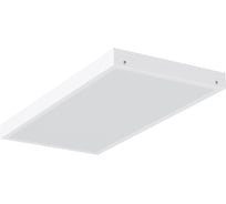 Аварийный светильник АСТЗ ДПО12-19-341 Universal Prizma EM1 DT 840 1200419341.42