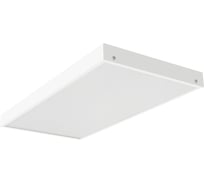 Светильник АСТЗ ДВО12-19-341 Prizma EM1 930 1012719341.41