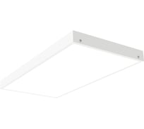 Светильник АСТЗ ДВО12-19-343 Opal EM1 930 1012719343.41