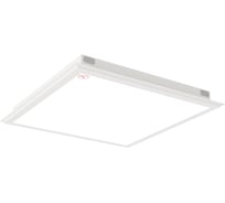 Светильник АСТЗ ДВО12-38-043 Opal E24 EM3 MT 840 1330438043.45