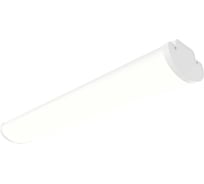 Светильник АСТЗ ДПО52-60-242 Optimus EM3 DT 940 1166860242.43