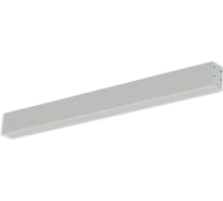 Аварийный светильник АСТЗ ДПО02-80-041 Line EM3 DT 940 1224880041.43