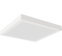 Светильник АСТЗ ДПО15-19-342 Universal WP EM1 940 1334819342.41