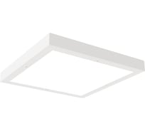 Светильник АСТЗ ДПО15-65-041 Universal WP EM3 840 1334465041