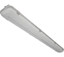 Аварийный светильник DIODEX Led, Атлант Норми, 55Вт, 3000К, прозрачный, серый, 1 час, магистральный 4603789751246