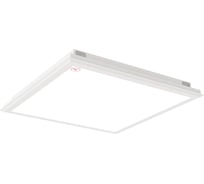 Светильник АСТЗ ДВО12-38-043 Opal TG24 EM3 MT 840 1329438043.45