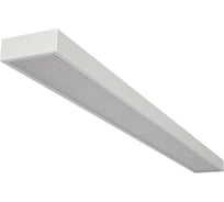 Аварийный светильник DIODEX Led Офис Люмино 18Вт 5500К, Призматический, Белый, 3ч. 4603789918939