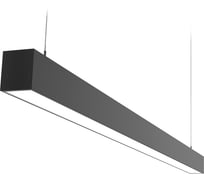 Аварийный светильник DIODEX Led, Микко Лонг, 55Вт, 5500К, призма, черный, 3 часа, магистральный 4603789903454