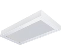 Светильник АСТЗ ДПО15-19-342 WP ЕМ3 DT 840 1134419342.43