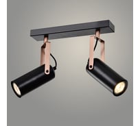 Спот РОСТОК 19741/2 BK+COPPER черный/медь 2x50W GU10 d300 h200, WAN22 988012556