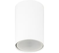 Светильник настенно-потолочный спот ЭРА SCULPTOR OL57 WH MR16 GU10 IP20 белый Б0066775