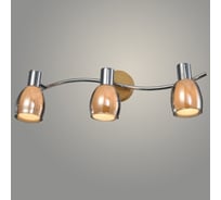 Спот РОСТОК 19811/3 CH+WOOD хром/дерево 3x40W E14 h130, WAN23 988367600