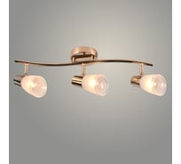 Спот РОСТОК DA5947/3 FGD золото 3x60W E14 h170, HN22 988015372