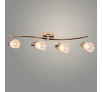 Спот РОСТОК DA5947/4 FGD золото 4x60W E14 h170, HN22 988015373