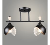Люстра РОСТОК N6418/2 BK+WOOD черный 2x60W E27 d420 h270, QH24 988385439