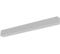 Светильник АСТЗ ДПО02-40-041 Line Low EM3 DT 940 1224839041.43