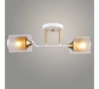 Люстра РОСТОК K2252/2 WT+COP белый/медь 2x60W E27 d450 h170, QH24 988385361