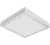 Светильник АСТЗ ДПО17-38-041 AWP EM3 840 1286438041