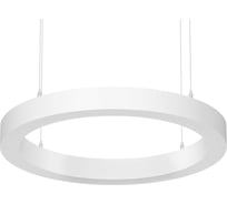 Светильник АСТЗ ДСО33-30-041 Horizon Ring EM3 940 1300830041
