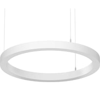 Светильник АСТЗ ДСО33-40-141 Horizon Ring EM3 940 1300840141