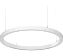 Светильник АСТЗ ДСО33-50-241 Horizon Ring EM3 940 1300850241