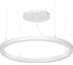 Светильник АСТЗ ДСО33-50-241 Horizon Ring EM3 DT 940 1300850241.43 2