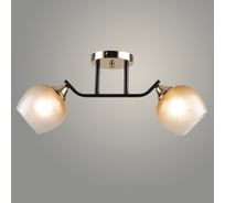 Люстра РОСТОК A4344/2 BK+FGD черный/золото 2x60W E27 d530 h220, QH24 988385310