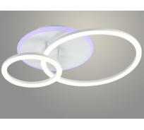 Люстра РОСТОК DK06063/2 PR WH белый 56W+6,5W LED RGB 3000-6500K d450 ПДУ(ИК) диммер, HN23 988032088