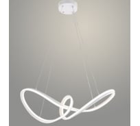 Люстра РОСТОК DK06382/2 PR WT белый 172W LED 3000K-6000K d690 ПДУ(ИК) диммер, HN24 988383395