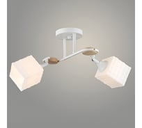 Люстра РОСТОК N6087/2 WT+WOOD белый/дерево 2x40W E27 d500 h240, QH23 988372034