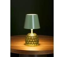 Светодиодная настольная лампа Arya Home Arya Cloudy 11,4x11,4x20,1 см, зеленый 8680943246707