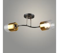 Люстра РОСТОК N5990/2 COFFEE+FGD кофе/золото 2x40W E27 d540 h195, QH23 988370775