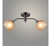 Люстра РОСТОК N5965/2 COFFEE+CR кофе/хром 2x40W E27 d540 h225, QH23 988370740