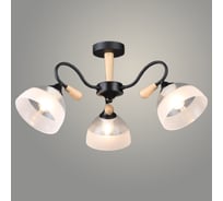 Люстра РОСТОК N6390/3 BK+WOOD черный 3x60W E27 d645 h295, QH24 988385381
