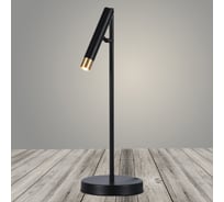 Настольная лампа РОСТОК 621/1 GD+BK золото/черный 1x3W G9 h485, MOYA23 988369396