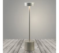 Настольная лампа РОСТОК 930124 серый h380 2W LED 6000K, DIY23 988035378