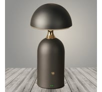 Настольная лампа РОСТОК 930158 серый h240 2W LED 6000K, DIY23 988035375