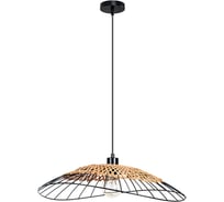 Подвесной светильник ARTE LAMP WOODSTOCK A7061SP-1BK
