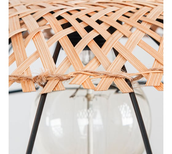Подвесной светильник ARTE LAMP WOODSTOCK A7061SP-1BK