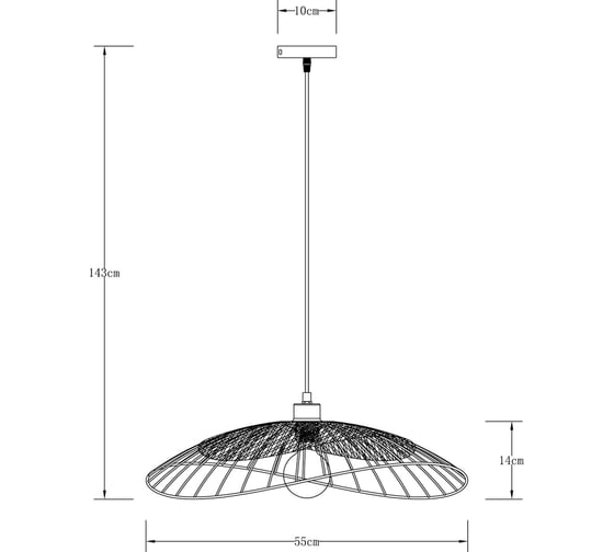Подвесной светильник ARTE LAMP WOODSTOCK A7061SP-1BK